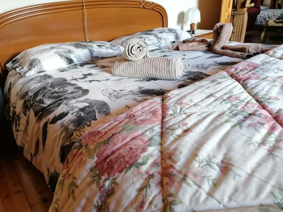 Chalet Del Paese Incantato Comune Di Moncenisio מונצ'ניזיו מראה חיצוני תמונה